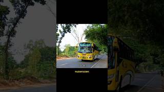 CLINE YELLOW Response  bdbuslovers buslovers crystallinebus clinetjzone busbd nicebus yt [upl. by Leshia]