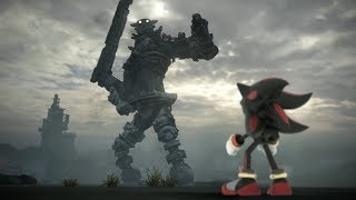 Shadow the Hedgehog of the Colossus [upl. by Otsenre192]