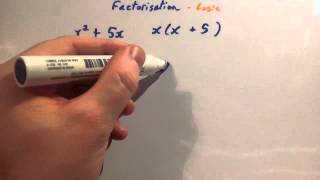 Factorisation of cubic Polynomial Class 9  How to factor cubic Polynomial [upl. by Jacki]