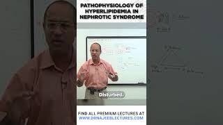 Pathophysiology Of Hyperlipidemia In Nephrotic Syndrome [upl. by Yesrej]