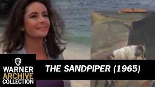 Open  The Sandpiper  Warner Archive [upl. by Notserc]