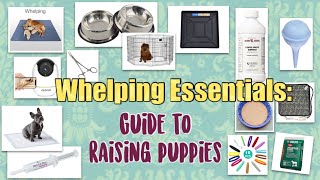 Whelping Essentials Guide to raising puppies [upl. by Reemas]