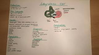 Labyrinthitis  clinics causes symptoms diagnosis complications treatment [upl. by Teodoor184]