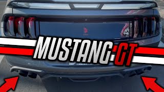 BEST Sounding EXHAUST for the 50 Mustang GT  Steeda H Pipe [upl. by Casmey]