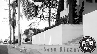 Pro Part Sean Ricany [upl. by Enneira]