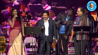 Botany Patamundhi Song  SP Balasubramanyam LIVE Performance  Maestro Ilaiyaraaja Music Concert [upl. by Eerat957]