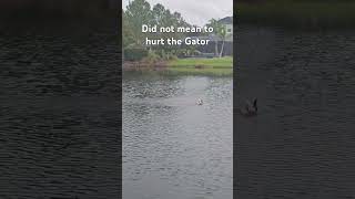 Almost snagged a Gator [upl. by Trinidad]