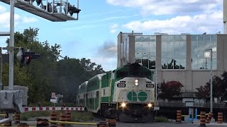 GO 559 at Newmarket Ontario  CANADA [upl. by Lurleen493]