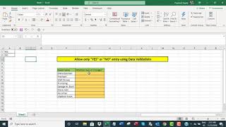 Allow only quotYESquot or quotNOquot entry in Excel using Data Validation [upl. by Aihsel33]