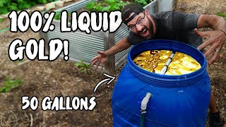 How to make LIQUID ORGANIC FERTILIZER for CHEAP with this COMPOST TEA BREWER [upl. by Anyad]