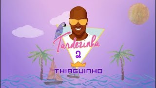 Thiaguinho  Pé Na Areia Álbum Tardezinha 2 Áudio Oficial [upl. by Haslam]