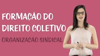 Direito Coletivo do Trabalho  Organização Sindical [upl. by Giulietta]