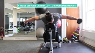 How To Do Dumbbell Lying Rear Lateral Raise  Exercise Demo [upl. by Kerns721]