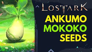 Lost Ark  Ankumo Mountain Mokoko Seeds [upl. by Adekahs470]