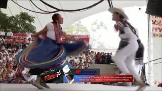 Jarabe Mixteco Guelaguetza 2017 [upl. by Tipton]