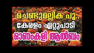 CHENDUMALLIKA POO KANDAL  ചെണ്ടുമല്ലിക പൂ കണ്ടാല്‍  chendumallika album song  നാടൻ പാട്ട് [upl. by Giguere]