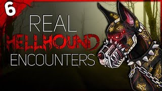 6 REAL Hellhound Encounters  Darkness Prevails [upl. by Nara]