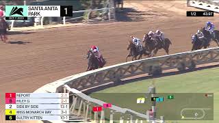 Report wins Race 1 on Saturday October 7 at Santa Anita Park [upl. by Anivas]