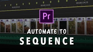 Working with Automated Sequences in Adobe Premiere Pro [upl. by Whiney991]