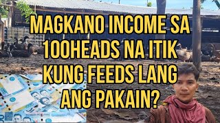 Magkano INCOME sa 100heads na itik kung feeds lang ang pakain [upl. by Mackintosh]