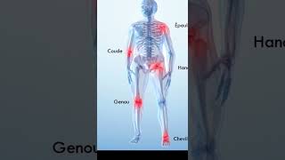 ANATOMIE 1 préparation concours EPS الاستعداد لمباراة التعليم تخصص التربية البدنية والرياضية [upl. by Dosi155]