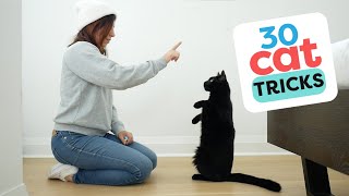 30 Tricks To Teach Your Cat [upl. by Elburr]