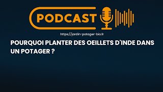 Pourquoi planter des oeillets dinde dans un potager [upl. by Una154]