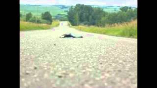 DEAD SKUNK IN THE MIDDLE OF THE ROAD  LOUDON WAINWRIGHT III [upl. by Jala]