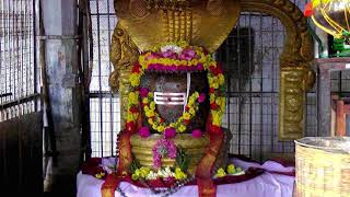 The Annamalaiyar Shiva Temple of Tiruvannamalai Pilgrimage of Liberation Part One Remastered 10 [upl. by Yadsendew]