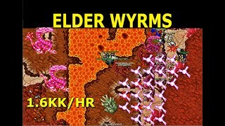 Tibia Where to Hunt  MSED 100  Drefia Elder Wyrm  Darashia  16kkhr  120 Team Hunting [upl. by Goulet413]