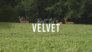 The Best Of VELVET Clips [upl. by Fifine]