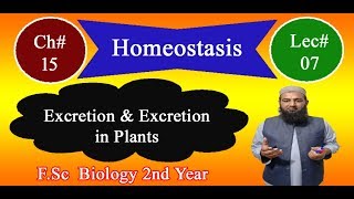 Biology Ch15Lecture07 Excretion and Excretion in Plants FSc 2nd Year [upl. by Campagna]