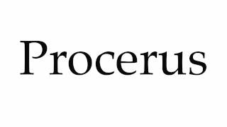 How to Pronounce Procerus [upl. by Saturday394]