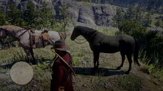 Red Dead Redemption 2 Caballos salvajes TROTÓN AMERICANO [upl. by Seligman]