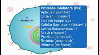 How ARVs Work Part 3 of 3 [upl. by Atilem293]