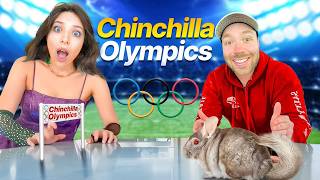 The ChinchillOlympics [upl. by Tomlin]