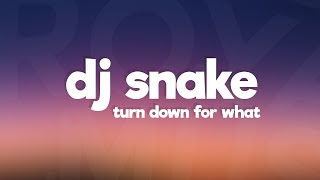 DJ Snake Lil Jon  Turn Down for What Lyrics [upl. by Aro]