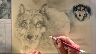 WOLF tekenen voor beginners potlood tekening [upl. by Ezekiel]