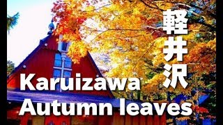 軽井沢の紅葉 Autumn leaves in Karuizawa 秋の軽井沢の紅葉の名所 軽井沢観光 日本の紅葉 軽井沢旅行 長野観光 長野旅行 紅葉 名所 観光地 [upl. by Tsyhtema]