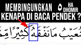 INI PENJELASANNYA KENAPA ه HA DHOMIR DIBACA PENDEK DI QURAN SURAH TERTENTU BELAJAR TAJWID [upl. by Nylauqcaj]