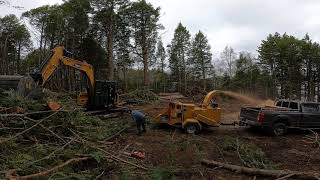 Vermeer BC1000 XL Gas WOOD CHIPPER eating big TREES Excavator feeding it [upl. by Judah]