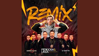 Perigosa e Linda Remix [upl. by Frederick628]