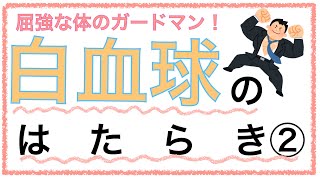 教科書をわかりやすく！「白血球の働き②〜単球編〜」 [upl. by Welsh672]