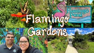 Exploring Flamingo Gardens Davie FL 🦩  New Butterfly Conservatory 2024 [upl. by Noscire]