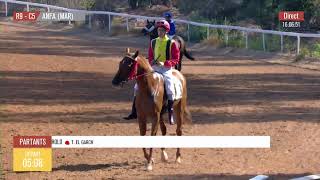 Live Hippodrome « CASABLANCA »  Courses du «13092024 » [upl. by Stearns926]