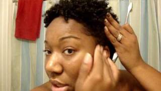 Quick and Easy Wash N Go for Natural Hair [upl. by Hiamerej]