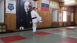 Matsumura no rohai kata Shorin ryu Karate do Okinawa  Stepin 6 dan Moscow Kodokan Budo Festival [upl. by Eberta903]