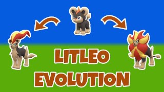 How to Evolve Litleo  Pyroar  Pokemon Scarlet amp Violet [upl. by Keverian]