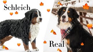 Schleich Vs Real dogs🥹 [upl. by Aicylla]