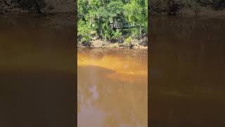 Interesting sand features in the Calcasieu River near Oberlin La [upl. by Marutani113]